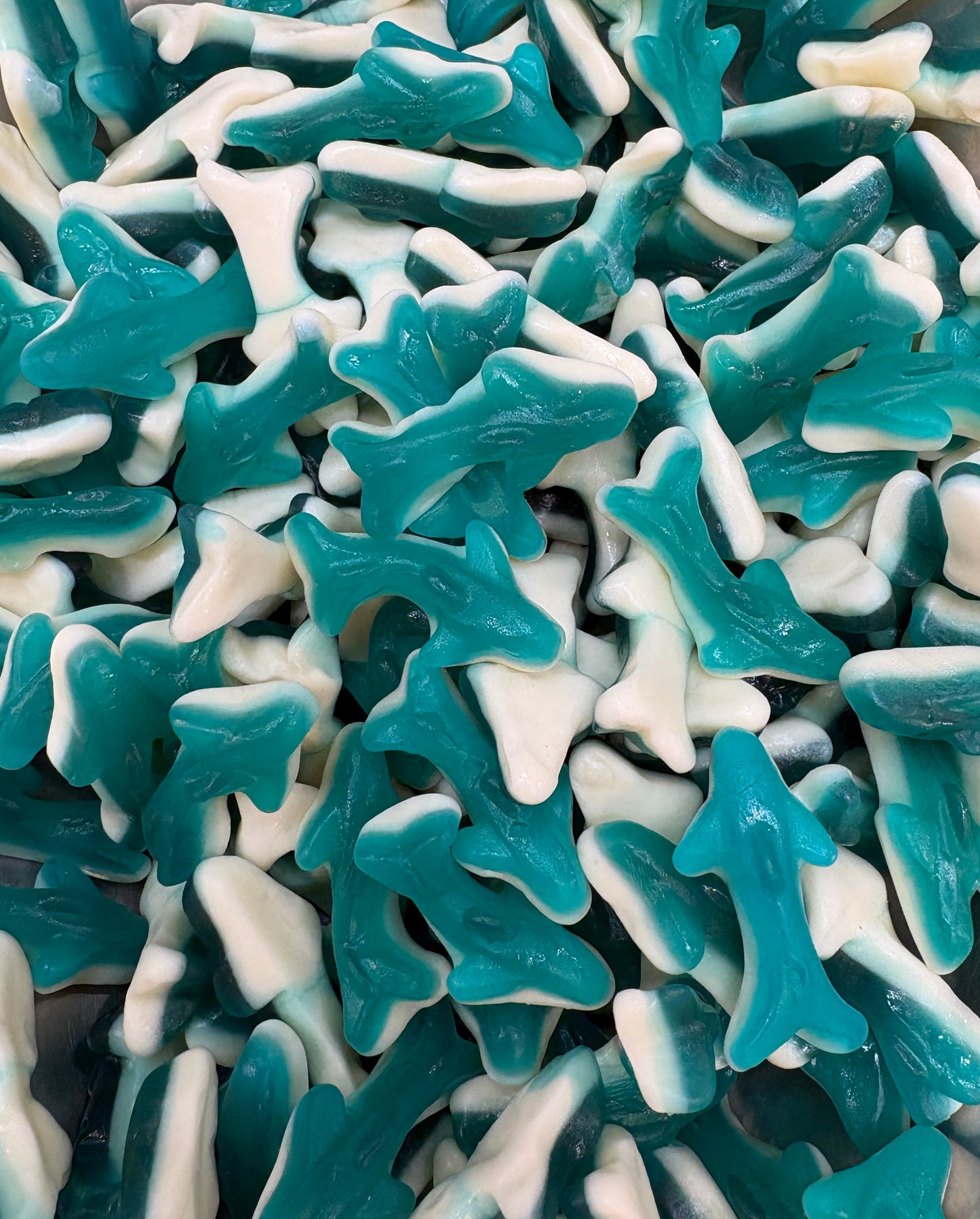 Baby Sharks