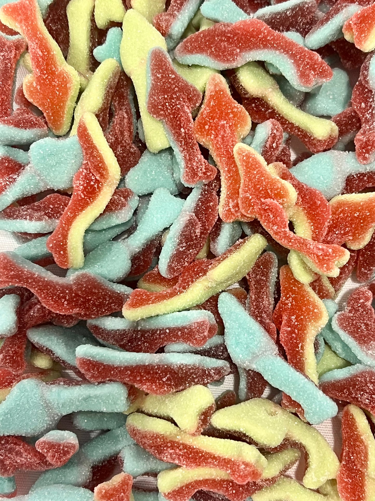 Gummy Sharks